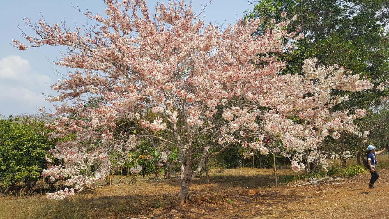 Tarahill Khao Kho Hotel Kültér fotó